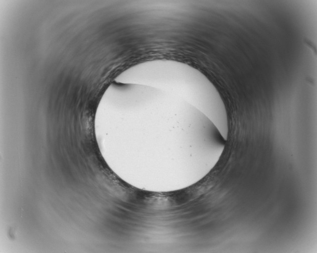 X0000103500276200810101053