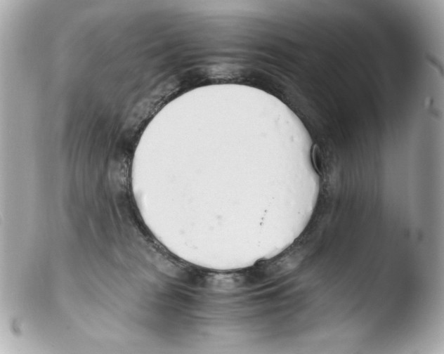 X0000103500277200810101053