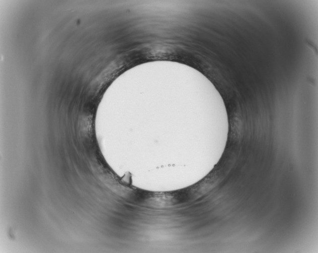 X0000103500278200810101053