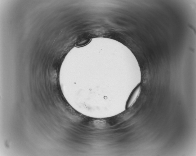 X0000103500279200810101053