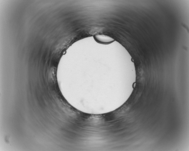 X0000103500280200810101053