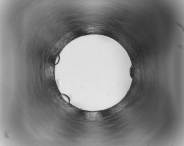 X0000103500281200810101053