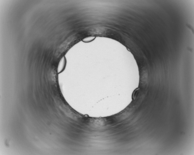 X0000103500282200810101053