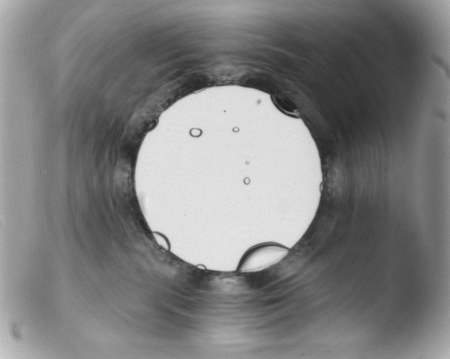 X0000103500283200810101053