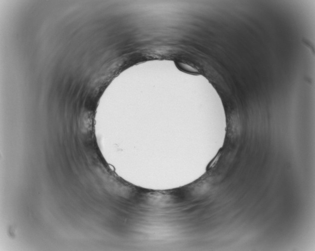 X0000103500284200810101053