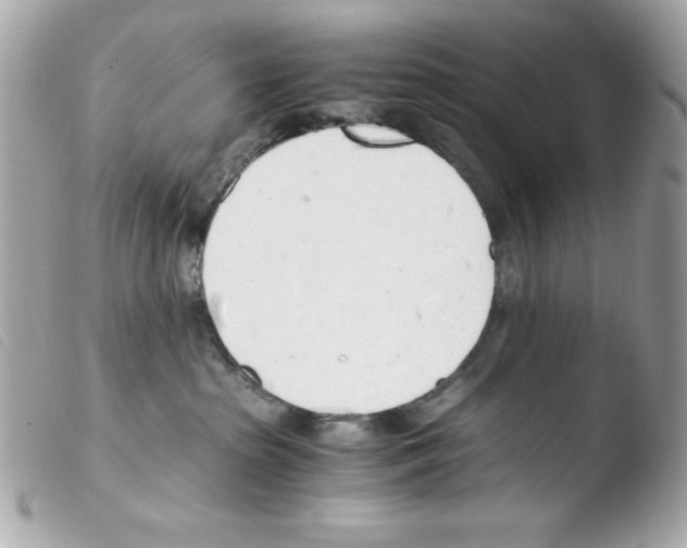 X0000103500285200810101053