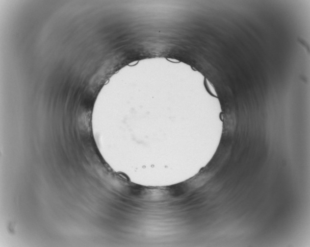 X0000103500286200810101053