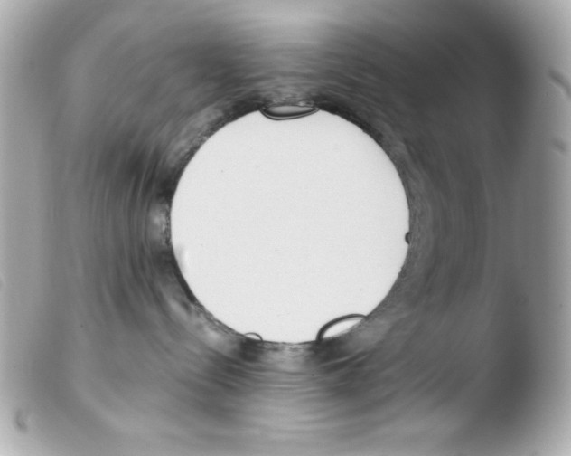 X0000103500288200810101053