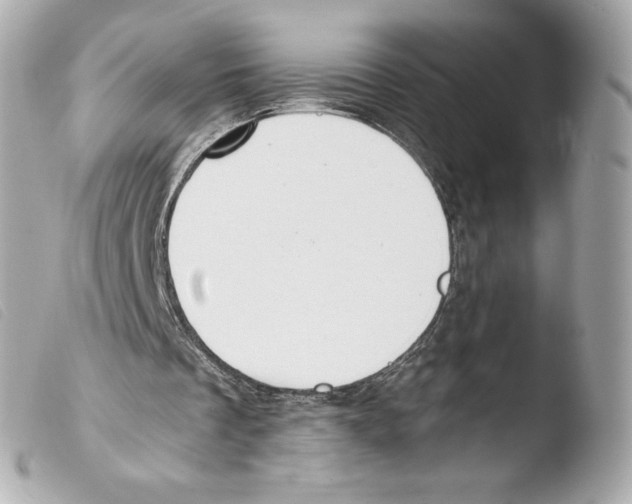 X0000103500289200810101053