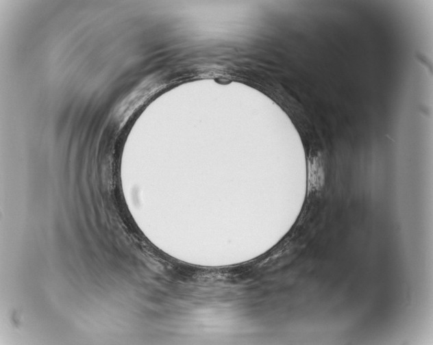 X0000103500291200810101053