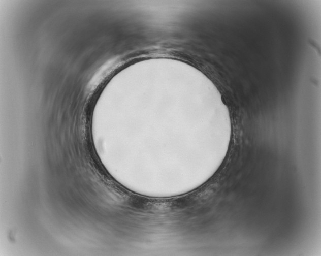 X0000103500295200810101053