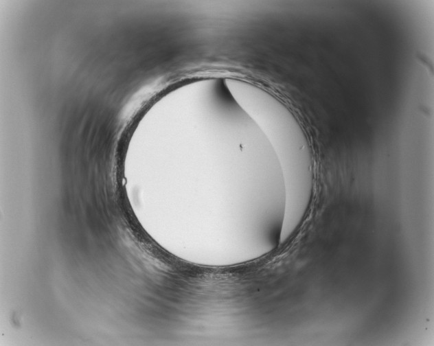 X0000103500296200810101053