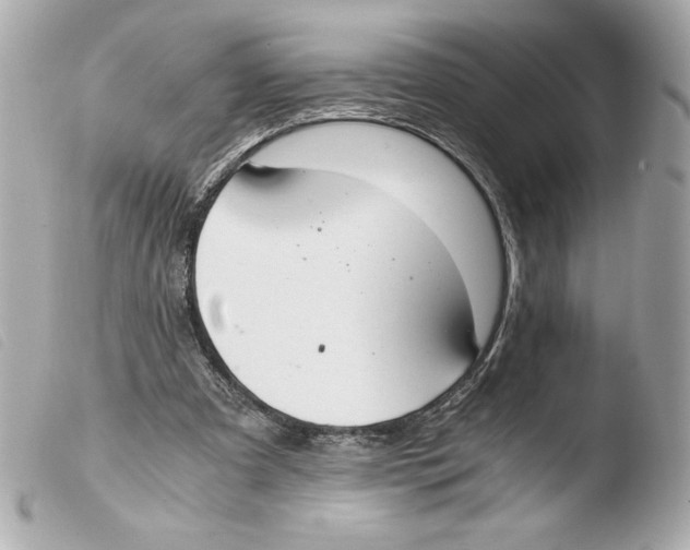 X0000103500297200810101053