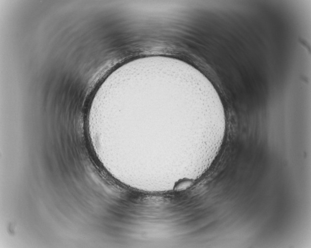 X0000103500298200810101053