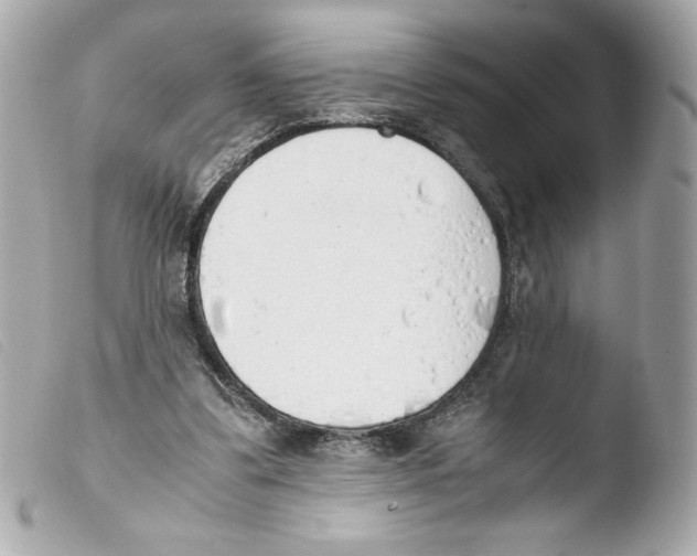 X0000103500299200810101053