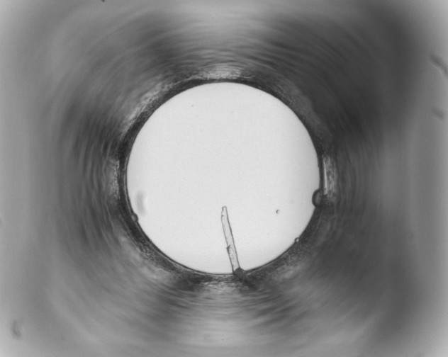 X0000103500300200810101053