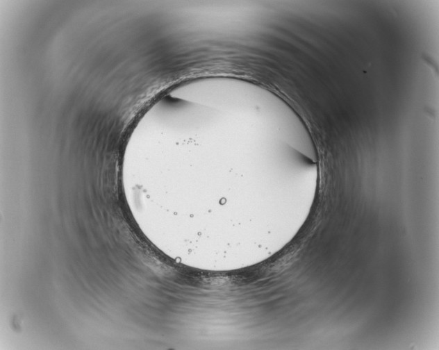 X0000103500301200810101053