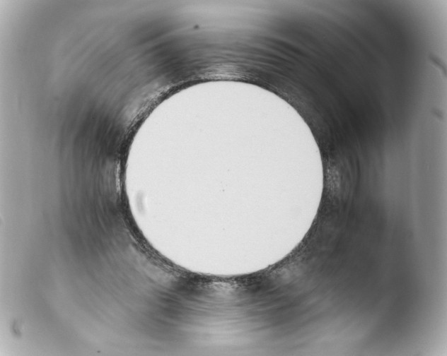 X0000103500302200810101053