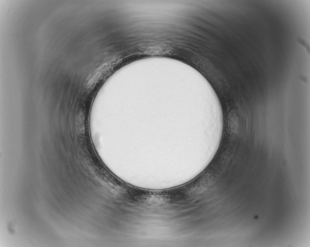 X0000103500303200810101053