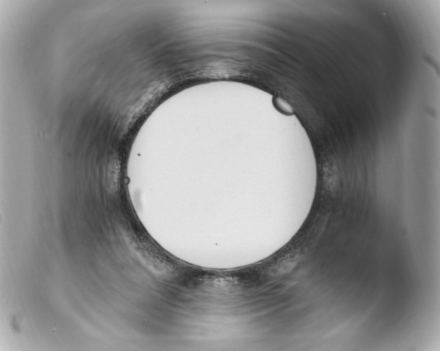 X0000103500304200810101053