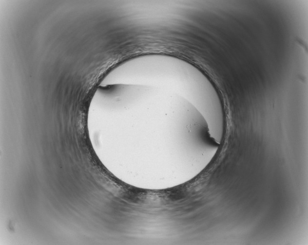 X0000103500305200810101053