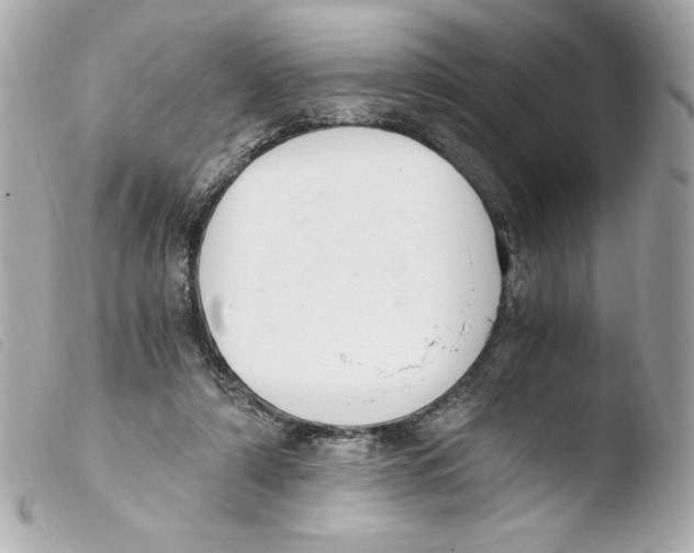 X0000103500306200810101053