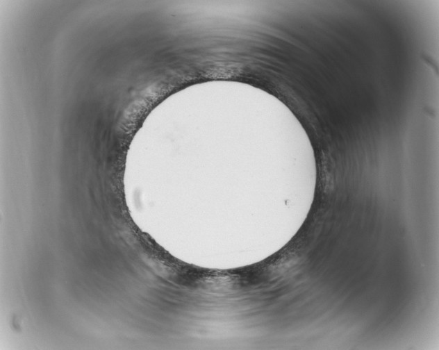 X0000103500307200810101053