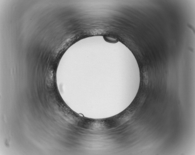 X0000103500308200810101053