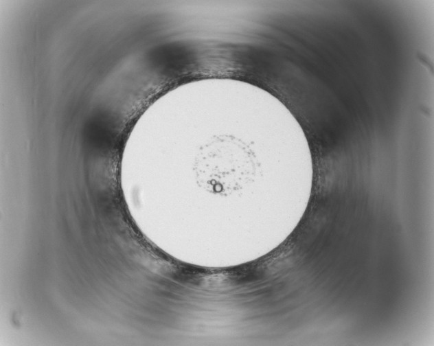 X0000103500309200810101052