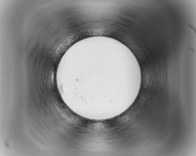 X0000103500310200810101052