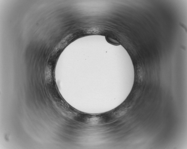 X0000103500312200810101052