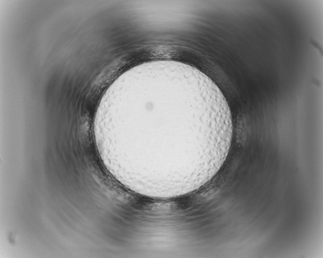 X0000103500314200810101052