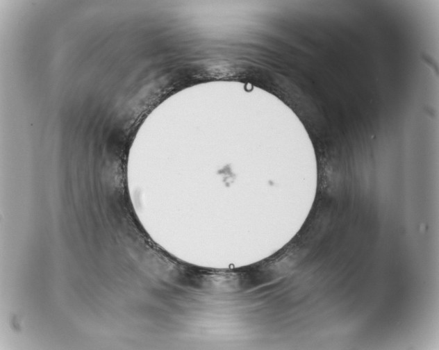 X0000103500317200810101052