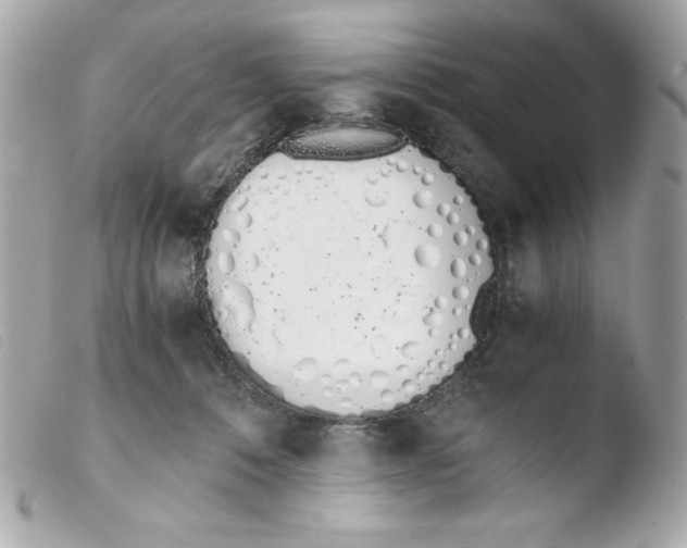 X0000103500320200810101052