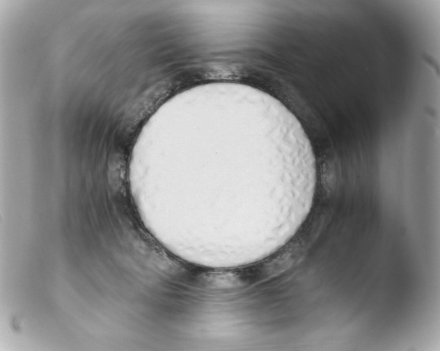 X0000103500322200810101052