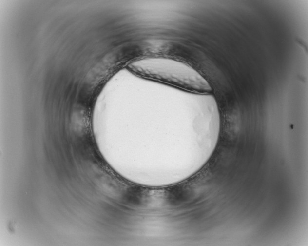 X0000103500324200810101052