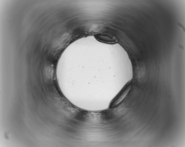 X0000103500328200810101052