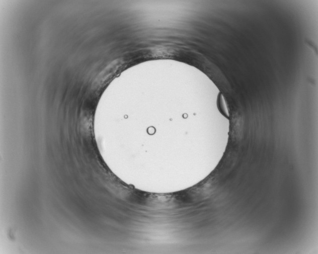 X0000103500329200810101052