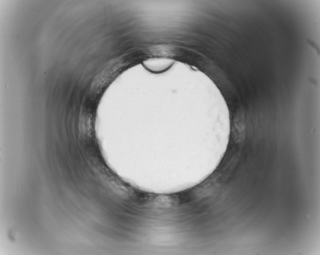 X0000103500330200810101052