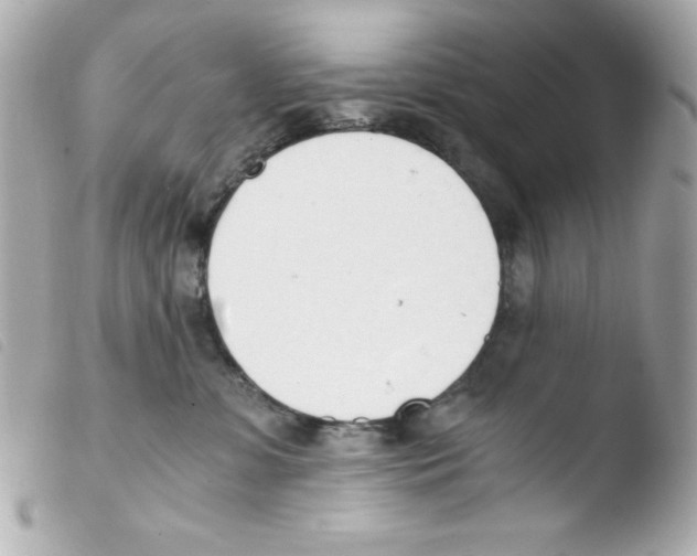 X0000103500331200810101052