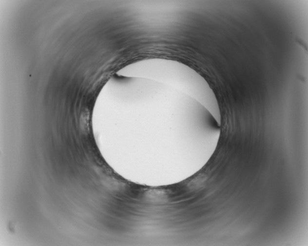 X0000103500332200810101052