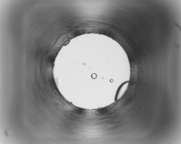 X0000103500333200810101052