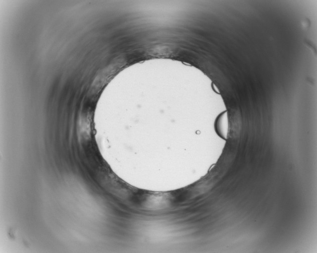 X0000103500334200810101052