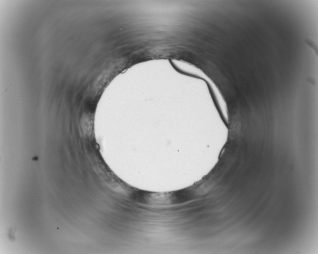 X0000103500335200810101052