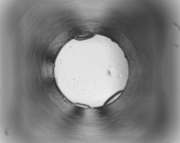 X0000103500336200810101052