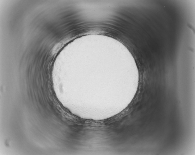 X0000103500337200810101051