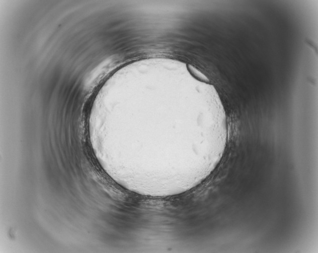 X0000103500339200810101051