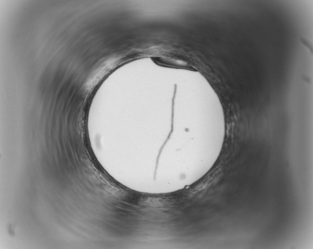 X0000103500341200810101051