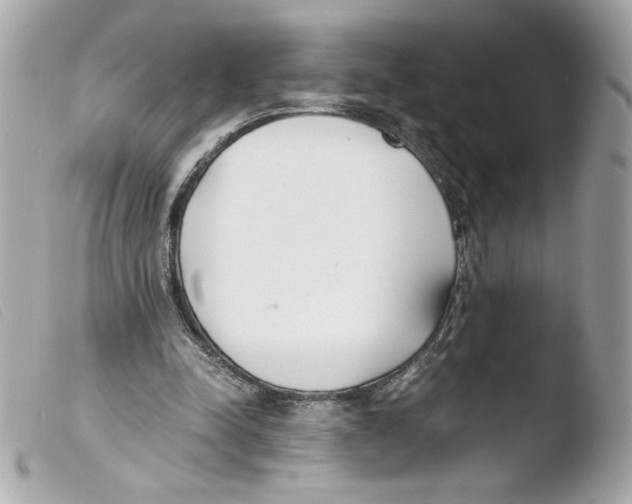 X0000103500342200810101051