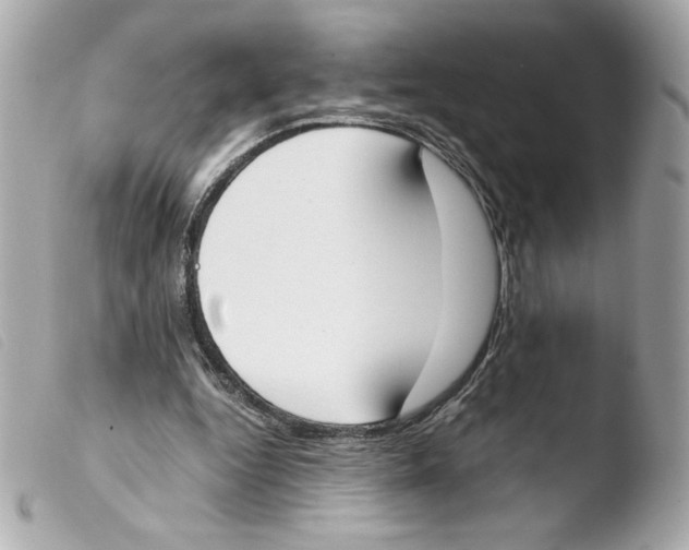 X0000103500344200810101051